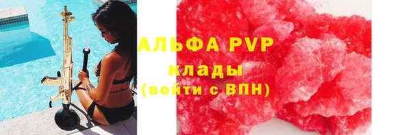 сатива Ступино