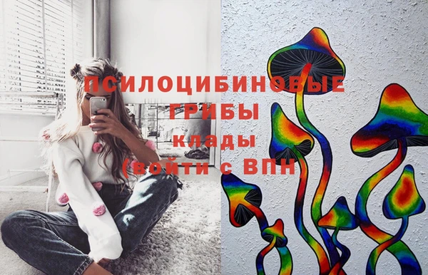 сатива Ступино