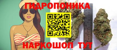 мяу мяу мука Берёзовский