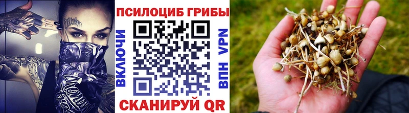 купить наркоту  Владикавказ  Галлюциногенные грибы мухоморы 