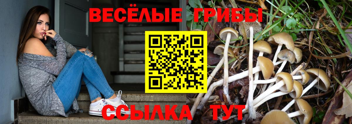 Владикавказ  Галлюциногенные грибы ЛСД  Псилоцибиновые грибы Psilocybine cubensis  Вход с VPN 