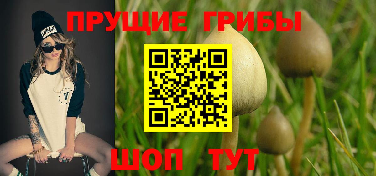 Псилоцибиновые грибы мухоморы  что такое   Владикавказ 